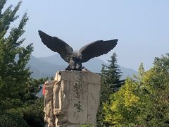 -北京鹫峰国家森林公园