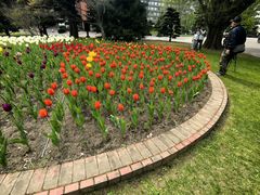 -北海道厅旧本厅舍(旧本庁舎)