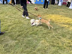 -上海神旺大酒店