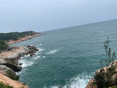 -广东惠东海龟国家级自然保护区
