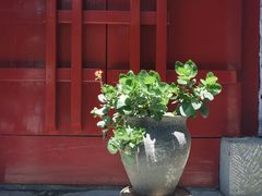 -西安市广仁寺
