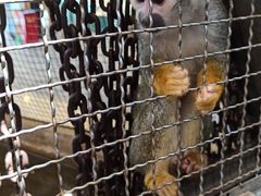 -成都浩海立方海洋公园