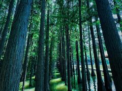 -采石矶景区