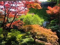 -中国茶叶博物馆(双峰馆区)