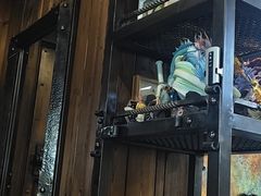 -小二楼炖肠