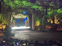 -广州长隆国际大马戏