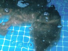 -宾朋海鲜特色美食餐厅·纯手工鲅鱼水饺(兴海路店)