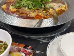 -古乐牛香·鲜牛肉牛杂火锅(高新店)