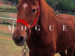 -仙海旅游度假区