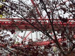-北京欢乐谷