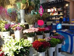 -山东嘉汇文化用品有限公司张店凤凰国际分公司(新村西路店)