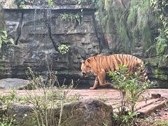 -海南热带野生动植物园
