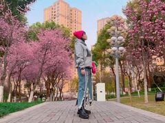 -重庆市江北嘴中央商务区中央公园