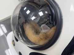 -瑞鹏·疫苗·绝育·宠物医院(广九店)