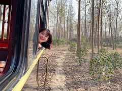 -合肥滨湖国家森林公园