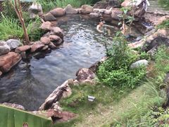 -天芳悦潭度假村温泉