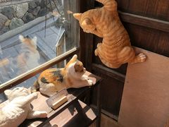 -牛カツ京都勝牛(河原町蛸薬師店)