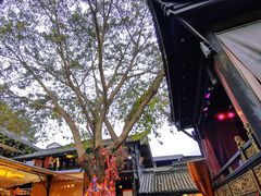 -磁器口古镇