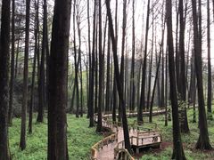 -波尔登森林公园