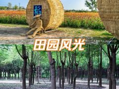 -嘉北郊野公园