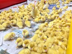 -福建师范大学(仓山校区)