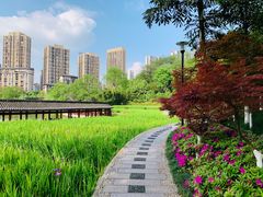 -龙头寺公园