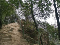 -南山植物园