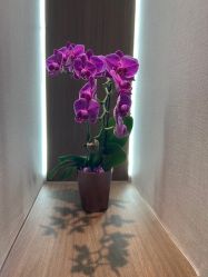 -如一·美甲美睫