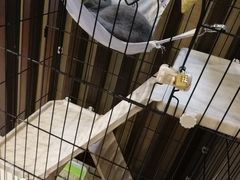 -津菜宋记老房子(鼓楼店)