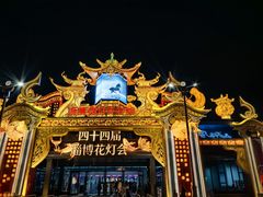 -淄博花灯齐彩城