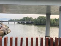 -深圳湾公园(南山区)