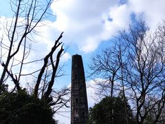 -上海佘山国家森林公园天马山园