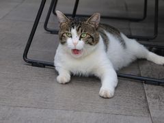 -UNI UNI(环亚凯瑟琳店)