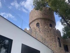 -J Create城市露营咖啡·简餐·宠物(上海动物园店)