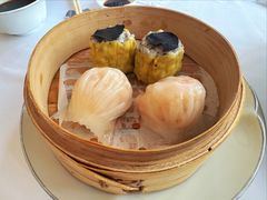 虾饺-伯衡55·吉品轩(乌鲁木齐南路店)