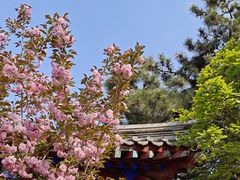 -北京鲁迅博物馆(北京新文化运动纪念馆鲁博馆区)