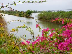 -芒洲湿地公园