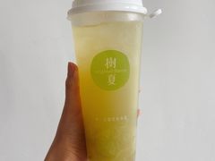 -树夏(鹭洲里店)