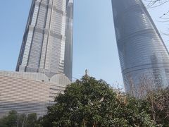 -上海中心大厦