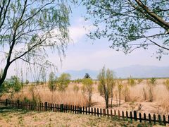 -野鸭湖国家湿地公园