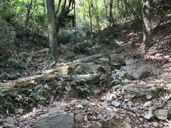 -杭州半山国家森林公园