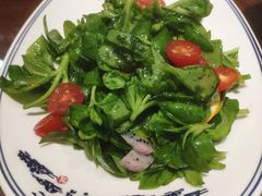 巧拌穿心莲-八大碗·地道东北菜(东陵西路店)