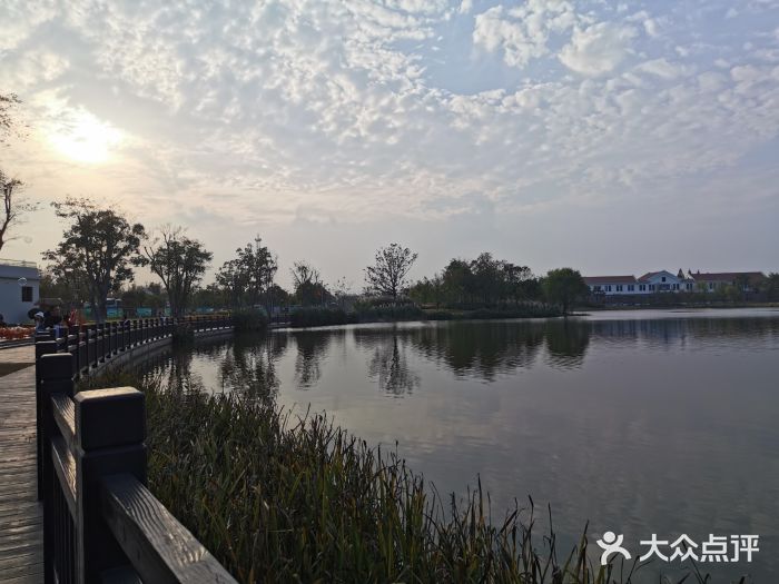 上海长兴岛郊野公园图片