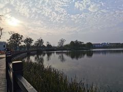 -上海长兴岛郊野公园