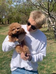 -HG美发设计沙龙