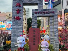 -越秀西湖花市(广州城市广场花卉店)