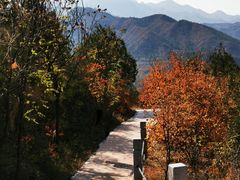 -百里山水画廊乌龙峡谷