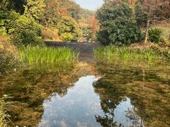 -云溪植物园