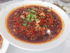 -金熊猫川菜餐厅