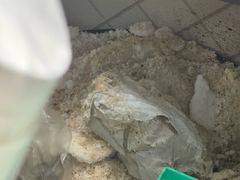 -吉英盐焗鸡(文中路店)